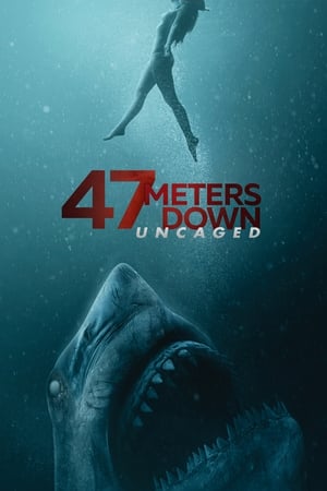 47 Meters Down: Uncaged (2019) Dual Audio | Hindi Full Movie BluRay [950MB]