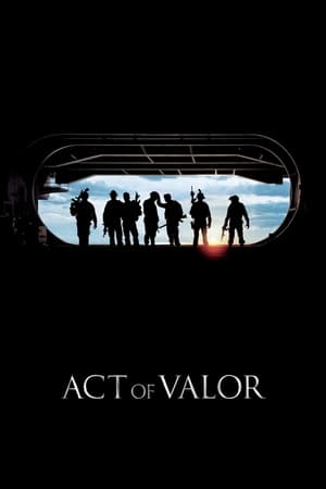Act of Valor (2012) Dual Audio | Hindi Full Movie BluRay 390MB