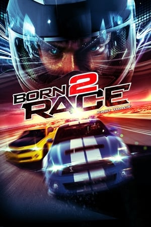 Born to Race Fast Track 2014 Dual Audio | Hindi Full Movie BluRay [840MB]