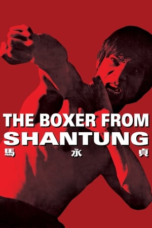 Boxer from Shantung (1972) Dual Audio | Hindi Full Movie BluRay [1.2GB]
