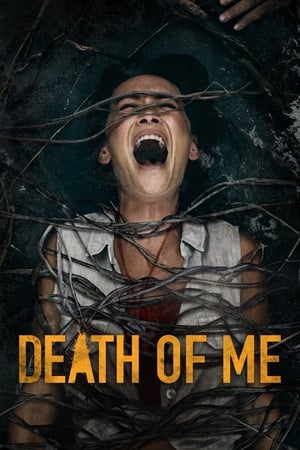 Death of Me (2020) Dual Audio | Hindi Full Movie HDRip [900MB]