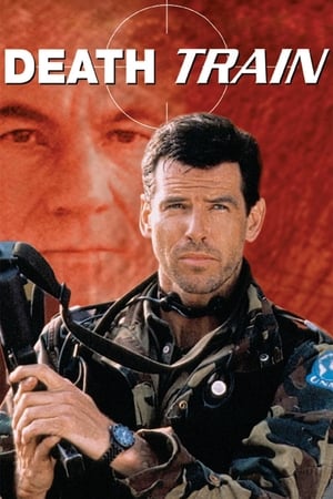 Detonator (1993) Dual Audio | Hindi Full Movie HDRip 300MB