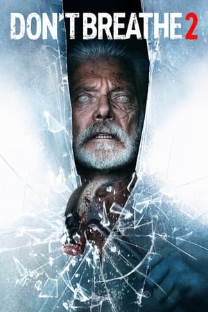 Don’t Breathe 2 (2021) Dual Audio | Hindi Full Movie HDRip 400MB