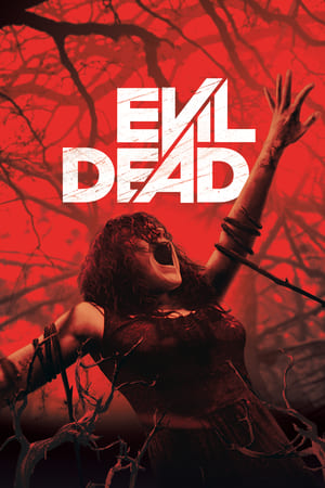 Evil Dead 2013 Dual Audio | Hindi Full Movie BluRay [760MB]