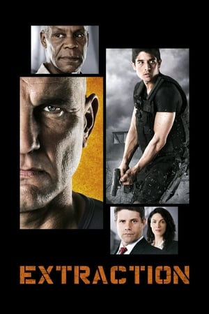 Extraction 2013 Dual Audio | Hindi Full Movie WebRip [1.4GB]