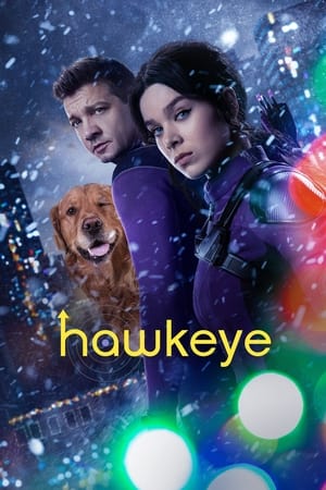 HawkEye (2021) Season 1 Dual Audio HDRip | Hindi Full Movie – 480p [1- 6 Episodes]