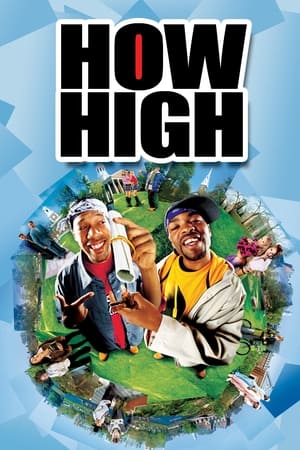 How High (2001) Dual Audio | Hindi Full Movie WebRip [800MB]