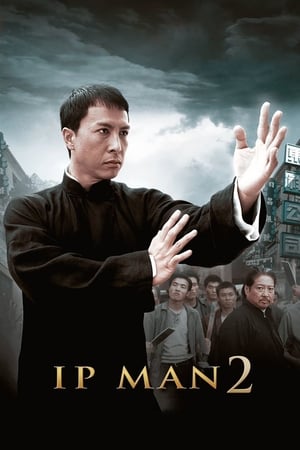 Ip Man 2 (2010) Dual Audio | Hindi Full Movie BluRay 350MB