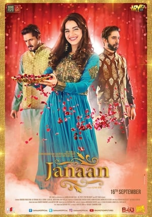 Janaan (2016) Movie Pakistani TVRip | Hindi Full Movie [700MB] Download