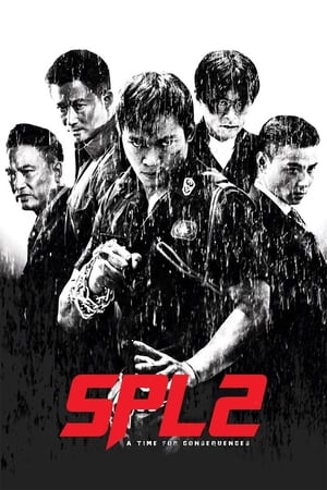 Kill Zone 2 (2015) Dual Audio | Hindi Full Movie BluRay 400MB