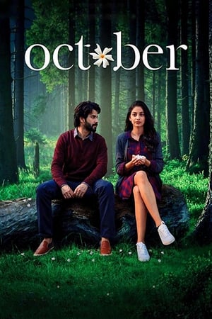 October (2018) Movie | Hindi Full Movie BluRay - [300MB]