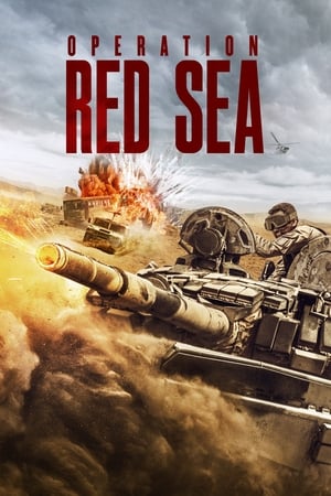 Operation Red Sea (2018) Dual Audio | Hindi Full Movie BluRay [1.3GB]