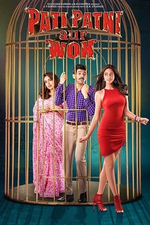 Pati Patni Aur Woh 2019 Movie | Hindi Full Movie HDRip x264 [1.2GB]
