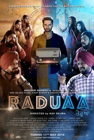 Raduaa 2018 (Punjabi) Movie | Hindi Full Movie DTHRip x264 [1GB]