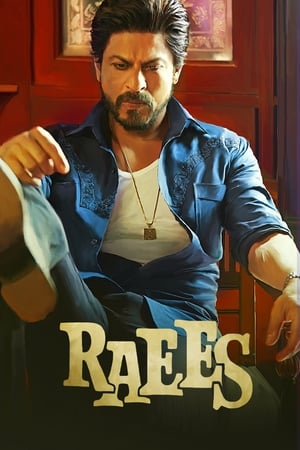 Raees 2017 400MB Full Movie Bluray | Hindi Full Movie