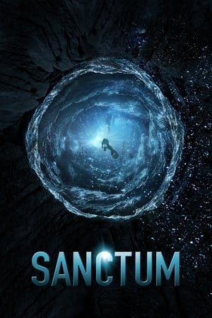 Sanctum (2011) Dual Audio | Hindi Full Movie BluRay [800MB]
