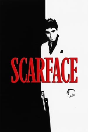 Scarface (1983) Dual Audio Movie | Hindi Full Movie BluRay - 1.4GB