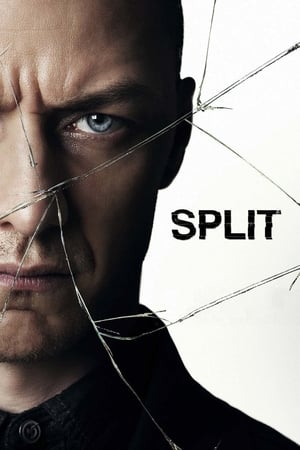 Split (2016) Dual Audio | Hindi Full Movie BluRay 400MB