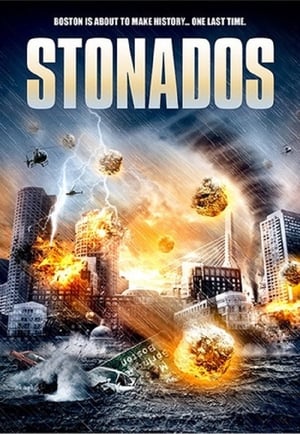 Stonados (2013) Dual Audio | Hindi Full Movie BluRay [840MB]