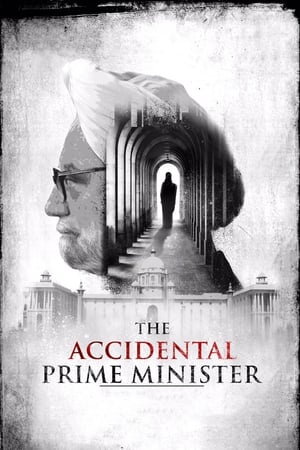The Accidental Prime Minister (2019) Movie | Hindi Full Movie HDRip - [400MB]