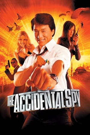 The Accidental Spy 2001 300MB Dubbed | Hindi Full Movie HDRip Download