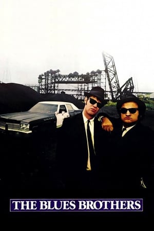 The Blues Brothers (1980) Dual Audio | Hindi Full Movie BluRay [3.3GB]