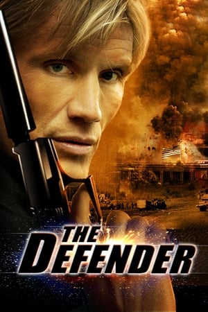 The Defender (2004) Dual Audio | Hindi Full Movie BluRay [1.2GB]