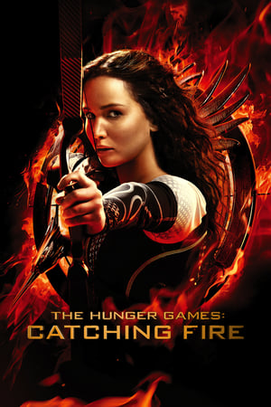 The Hunger Games Catching Fire 2013 Dual Audio | Hindi Full Movie BluRay 480MB
