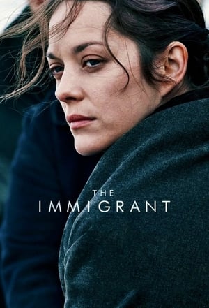 The Immigrant (2013) Dual Audio | Hindi Full Movie BluRay 300MB