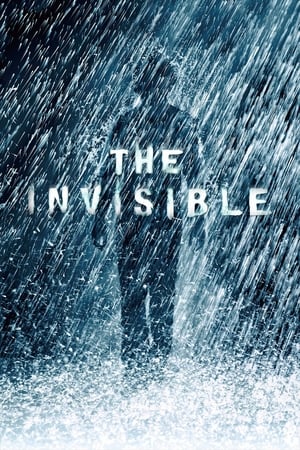 The Invisible 2007 Dual Audio | Hindi Full Movie BRRip 300MB