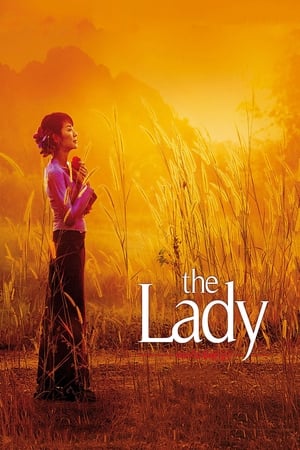 The Lady 2011 Dual Audio Movie | Hindi Full Movie Bluray - 920MB