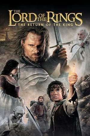 The Lord of the Rings: The Return of the King (2003) Dubbed BluRay | Hindi Full Movie [1.8GB] Download