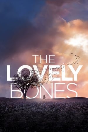 The Lovely Bones (2009) Dual Audio | Hindi Full Movie BluRay 430MB