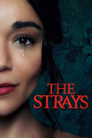The Strays 2023 Dual Audio HDRip | Hindi Full Movie – 480p