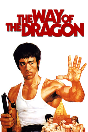 The Way of the Dragon (1972) Dual Audio | Hindi Full Movie BluRay [940MB]