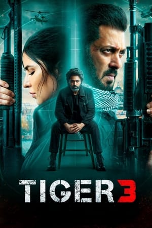 Tiger 3 2023 (ORG) Web-DL | Hindi Full Movie – 480p