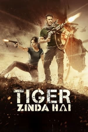 Tiger Zinda Hai 2017 Movie BluRay | Hindi Full Movie Hevc [700MB]