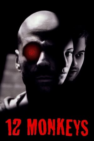 Twelve Monkeys (1995) Dual Audio Movie | Hindi Full Movie BluRay - 2.9GB
